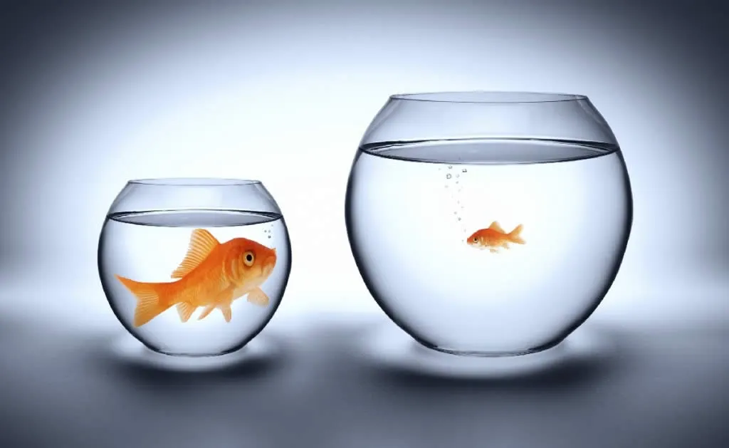 fast-offers-or-endless-loops