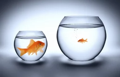 fast-offers-or-endless-loops